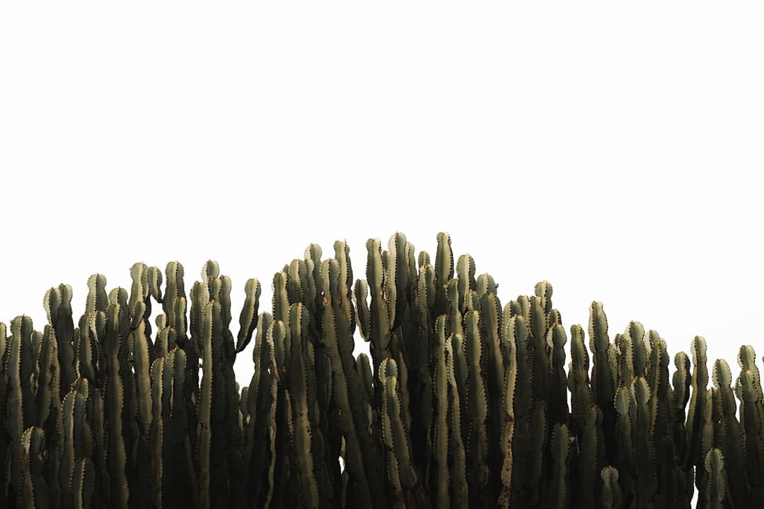 青平：招聘刑释人员，给“二次时机”更稳的托底